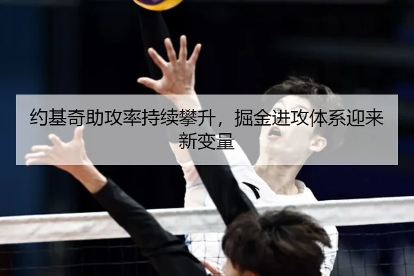 约基奇助攻率持续攀升，掘金进攻体系迎来新变量
