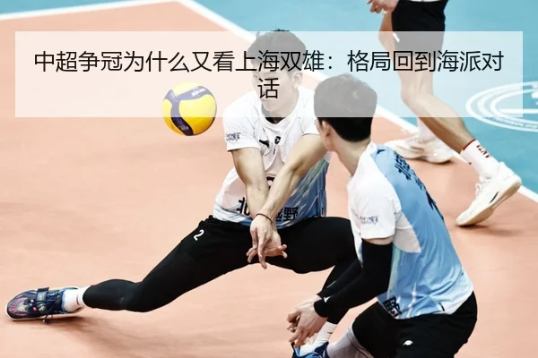 中超争冠为什么又看上海双雄：格局回到海派对话
