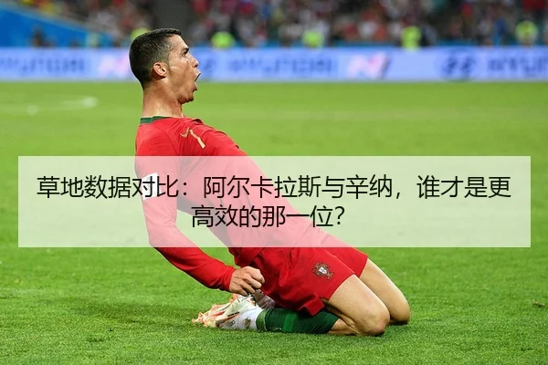 草地数据对比：阿尔卡拉斯与辛纳，谁才是更高效的那一位？